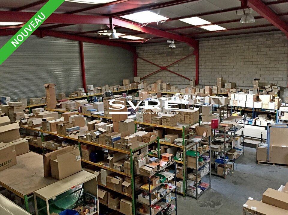 524554203_13_000566_3