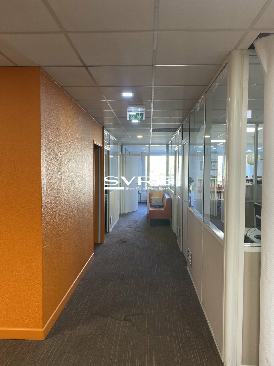 456210034_13_001999_6