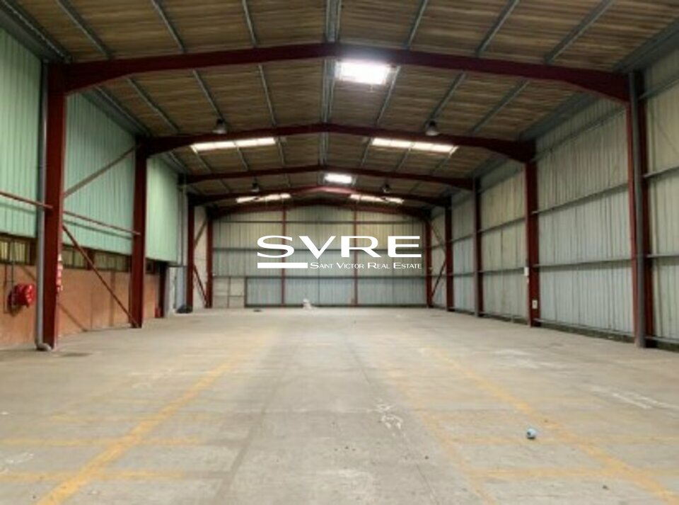 519952009_13_001929_7