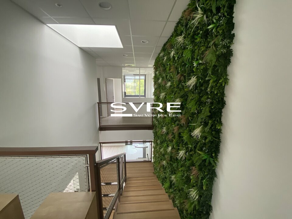 115872816_13_001684_8