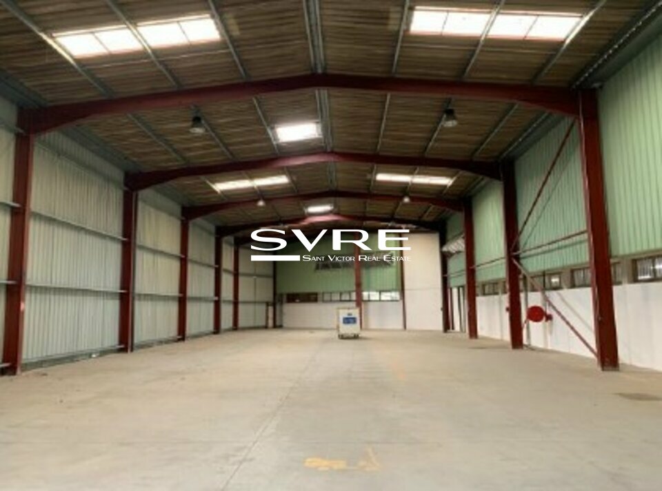 519957563_13_001929_10